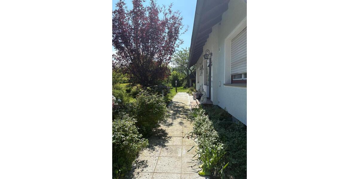 Großes, sonniges Traumgrundstück m. Einfamilienhaus und viel Platz zur freien Entfaltung! - Einfamilienhaus Möckmühl | Angebot:26441399