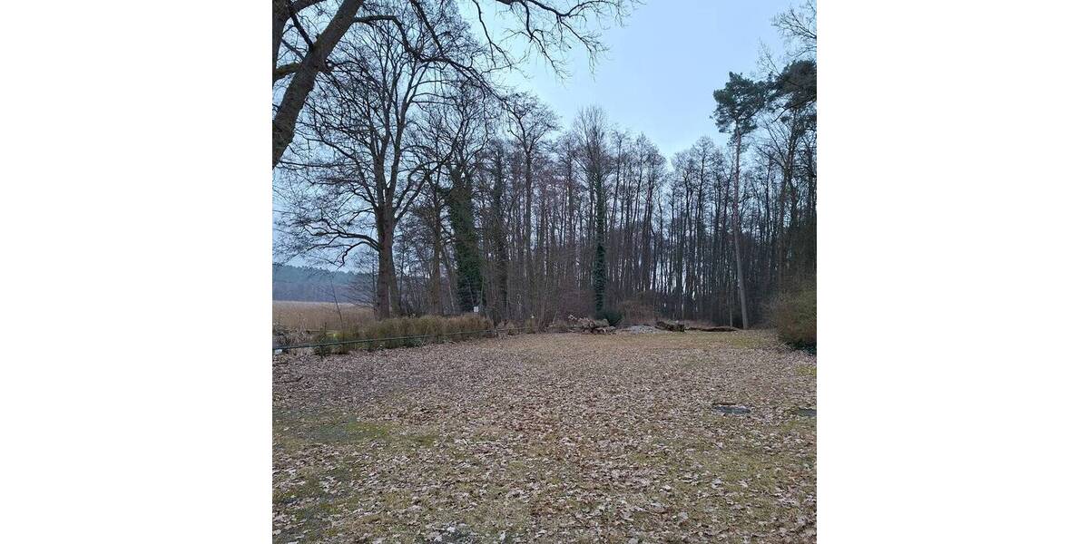 Grundstück Buckow (Märkische Schweiz) Buckow - 160.000&euro; | Angebot:26548202