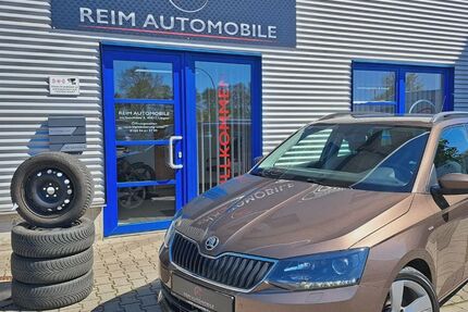 Skoda Fabia 128.955 km 7.950 &euro; Lingen 49811
