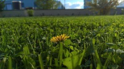 Wohnung Frankfurt am Main Bonames - 4 Zimmer, 134 m&sup2;, 2.090&euro; | Angebot:26323137