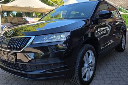 Skoda Karoq 115.885 km 19.490 &euro; Rehna 19217