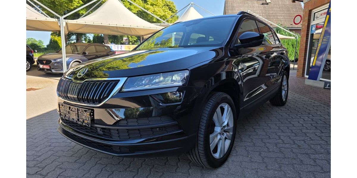 Skoda Karoq 115.885 km 19.490 &euro; Rehna 19217