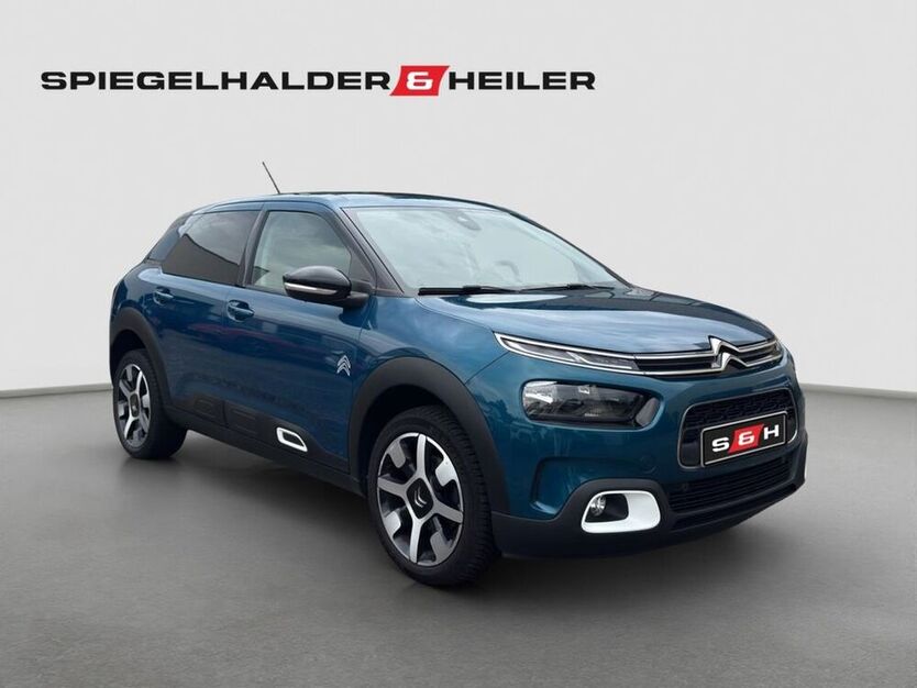 C4 Cactus