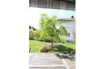 Etagenwohnung Leutkirch Gebrazhofen - 4 Zimmer, 108 m&sup2;, 298.000&euro; | Angebot:26318631