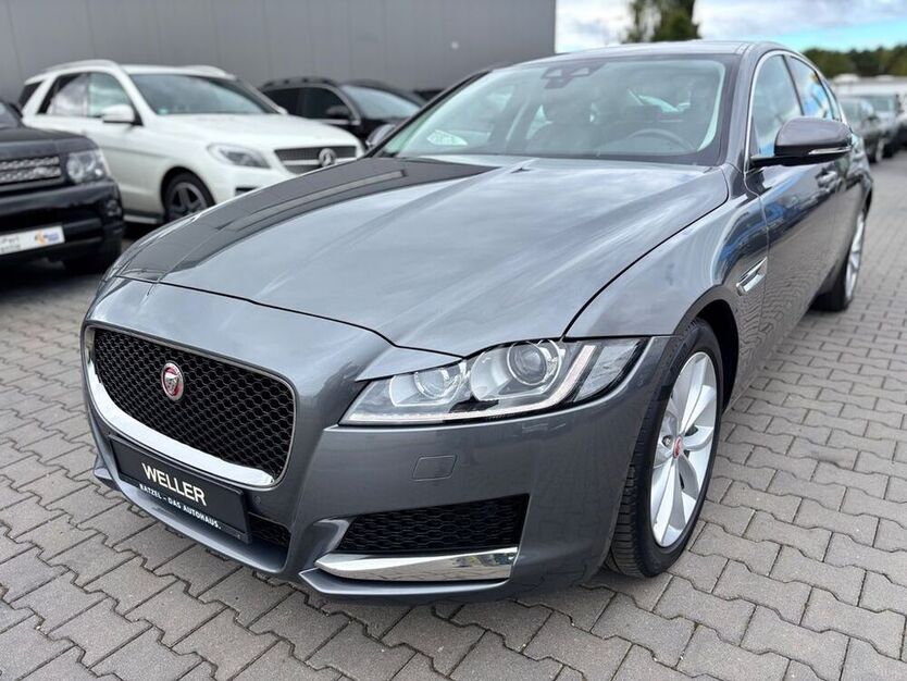 XF