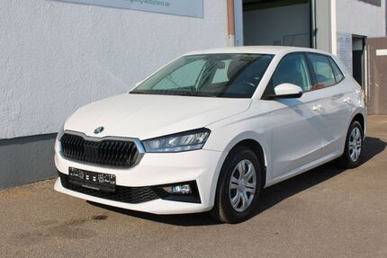 Skoda Fabia 188.356 km 7.990 &euro; Lampertheim 68623