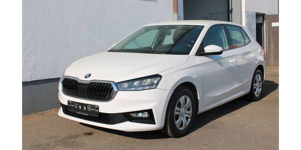 Skoda Fabia 188.356 km 7.990 &euro; Lampertheim 68623