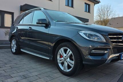 Mercedes-Benz ML 350 234.000 km 17.500 &euro; Windhagen 53578