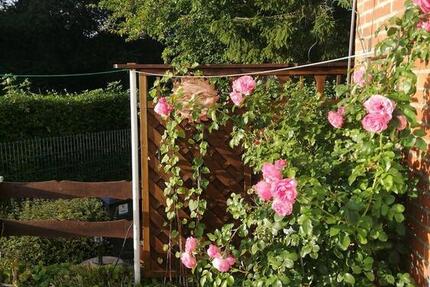 Haus Hamburg Langenhorn - 3 Zimmer, 77 m&sup2;, 1.230&euro; | Angebot:25398929