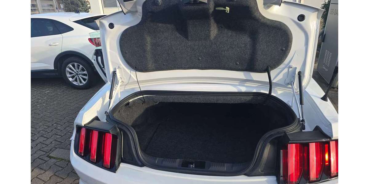 Ford Mustang 61.260 km 22.000 &euro; Neuenburg am Rhein, Stadt 79395