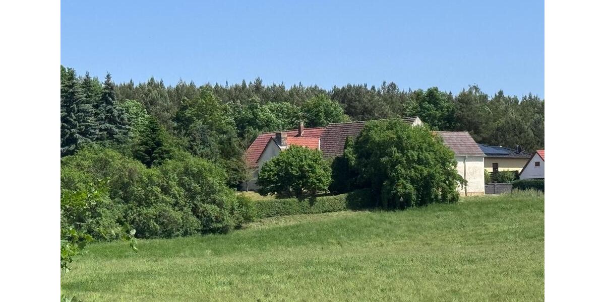Einfamilienhaus Kemberg - 3 Zimmer, 85 m&sup2;, 95.000&euro; | Angebot:26766474