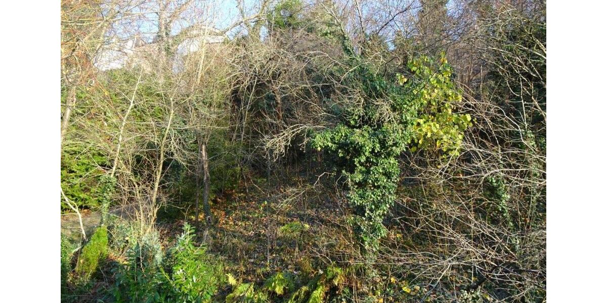 Einfamilienhaus Dingolfing - 10 Zimmer, 260 m&sup2;, 1.500&euro; | Angebot:25523082