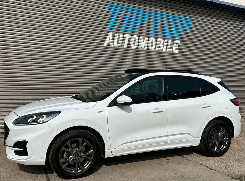 Kuga