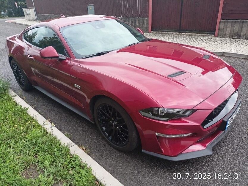 Mustang