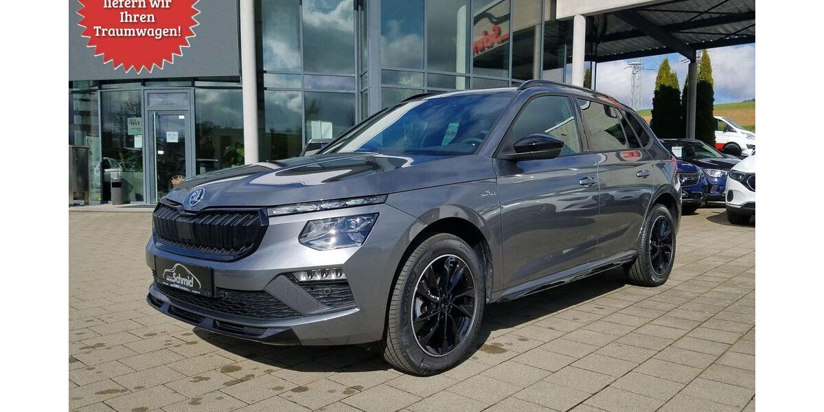 Skoda Kamiq 3.650 km 30.950 &euro; Tengen-Watterdingen 78250
