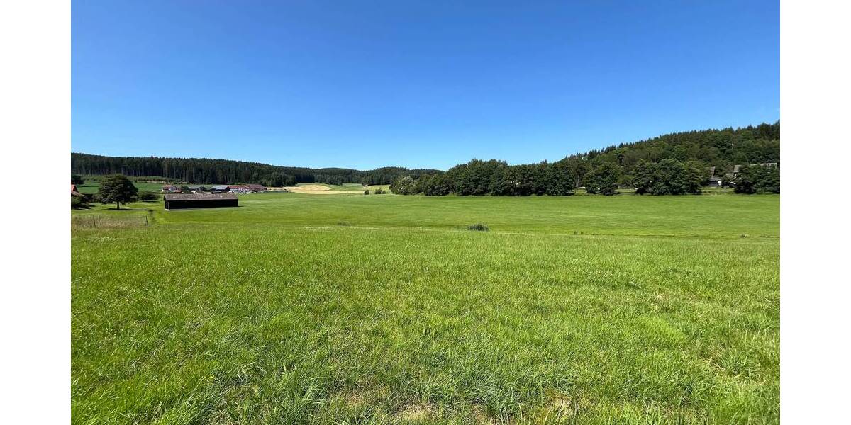 Grundstück Waidhaus - 100.000&euro; | Angebot:25697462