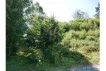 INVESTOREN: BAU EINES MEHRFAMILIENHAUS ODER 2 DHH - Grundstück Regenstauf | Angebot:27233843