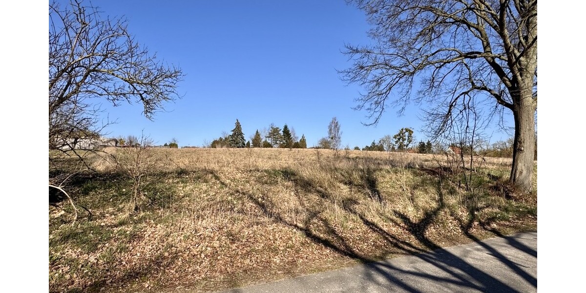 HORN IMMOBILIEN++ Baugrundstücke in Brüssow - Grundstück Brüssow | Angebot:26932035