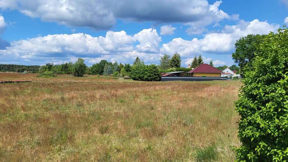Grundstück zu verkaufen in Schönwald 119.900 € 1187 m²