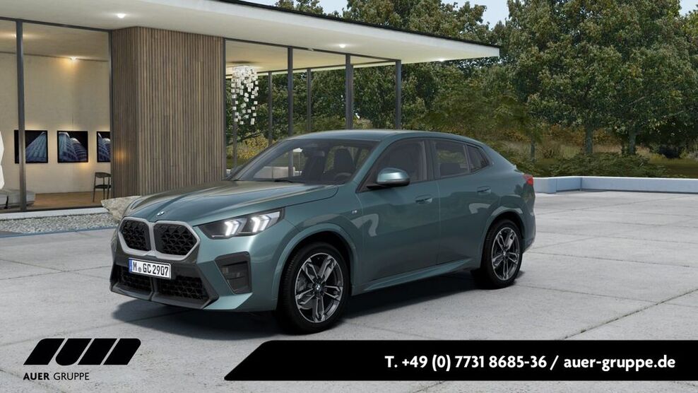 BMW X2 2.500 km 45.980 € Singen 78224