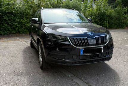 Skoda Karoq 226.000 km 14.200 &euro; Neu-Ulm 89231