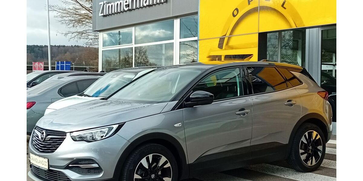 Opel Grandland (X) 78.700 km 15.750 &euro; Sigmaringen 72488