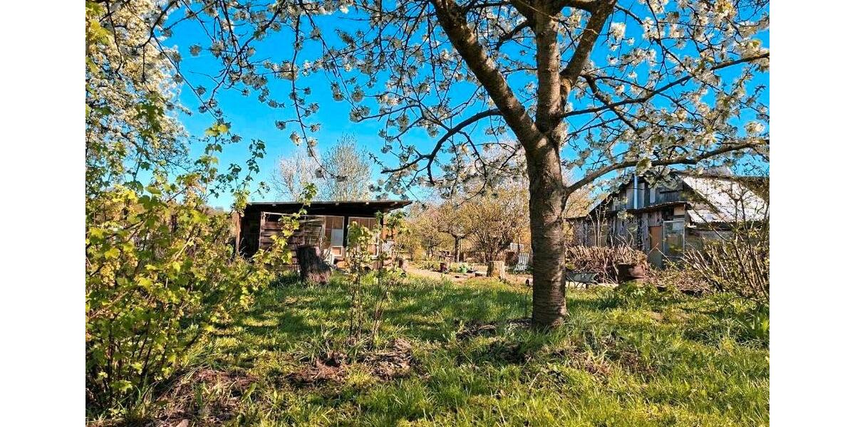 Grundstück Neustrelitz - 5.500&euro; | Angebot:26397507
