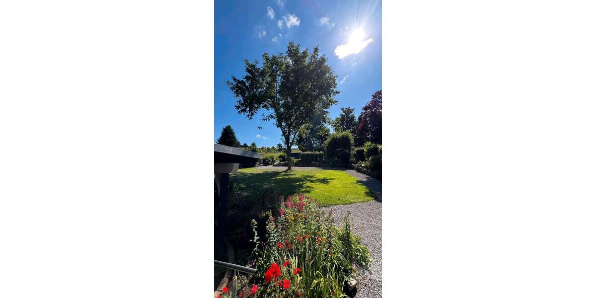 Einfamilienhaus Kall - 5 Zimmer, 303 m&sup2;, 560.000&euro; | Angebot:25992380