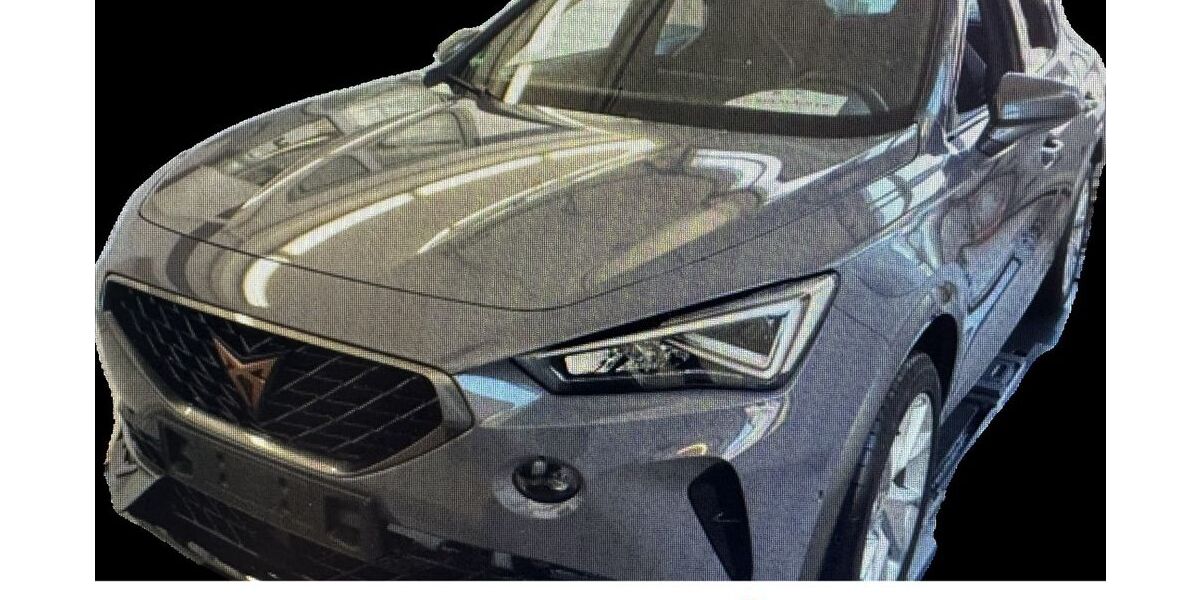 Cupra Formentor 46.600 km 28.350 &euro; Zimmern ob Rottweil 78658