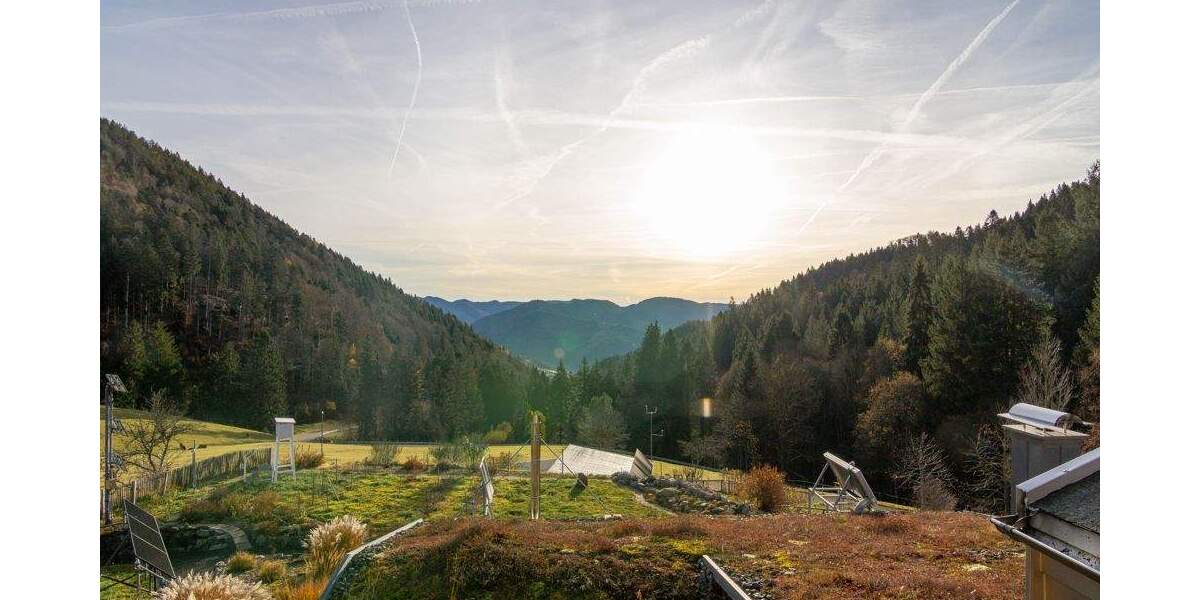Gewerbeobjekt Aitern-Multen Multen - 2 Zimmer, 1.250.000&euro; | Angebot:25814946