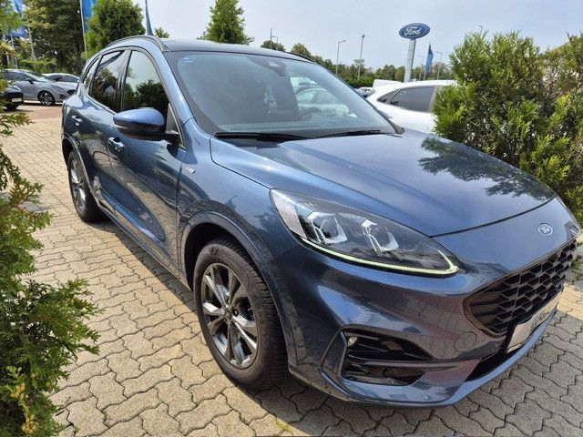 Kuga