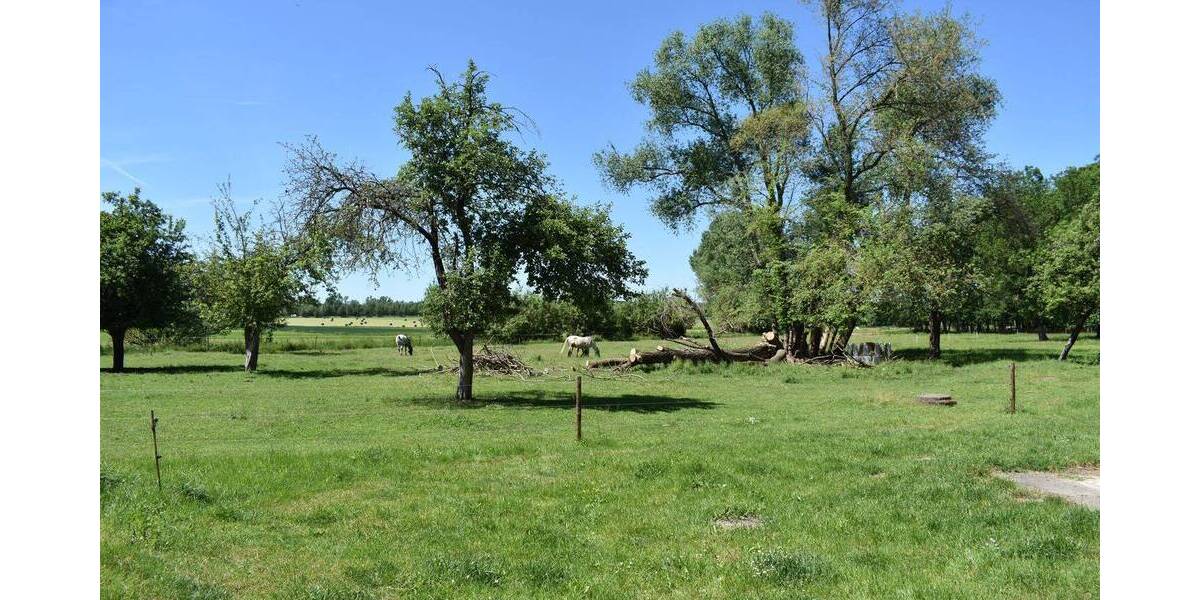Einfamilienhaus Frohburg Flößberg - 6 Zimmer, 200 m&sup2;, 240.000&euro; | Angebot:26891881