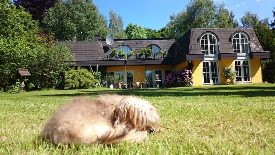 Loft - Studio - Atelier Seevetal - 2 Zimmer, 90 m&sup2;, 1.290&euro; | Angebot:26335560