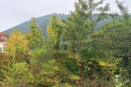 FERTIGES PROJEKT SUCHT UMSETZUNG! - Grundstück Badenweiler | Angebot:25361280