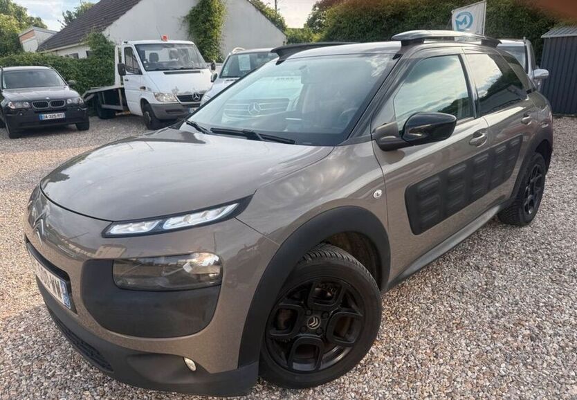 C4 Cactus