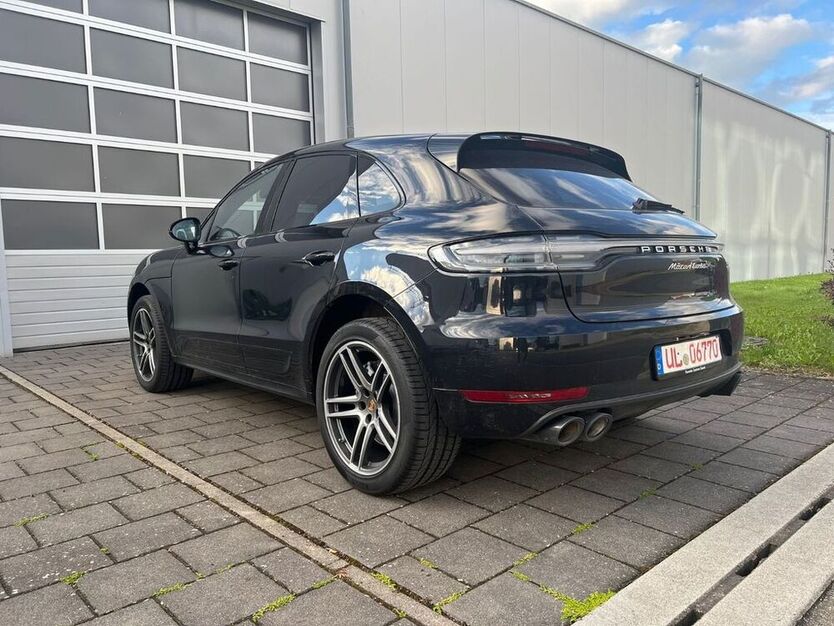 Macan