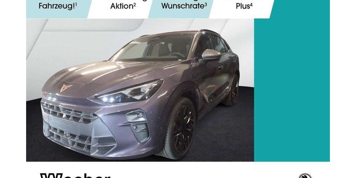 Cupra Terramar 4.123 km 39.980 &euro; Leonberg 71229