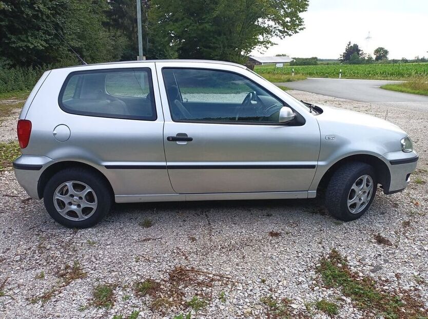Polo