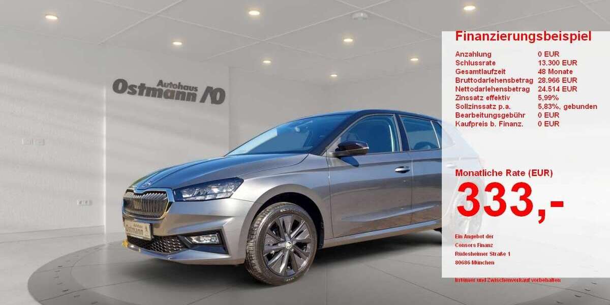 Skoda Fabia 3.000 km 20.880 &euro; Bad Arolsen 34454