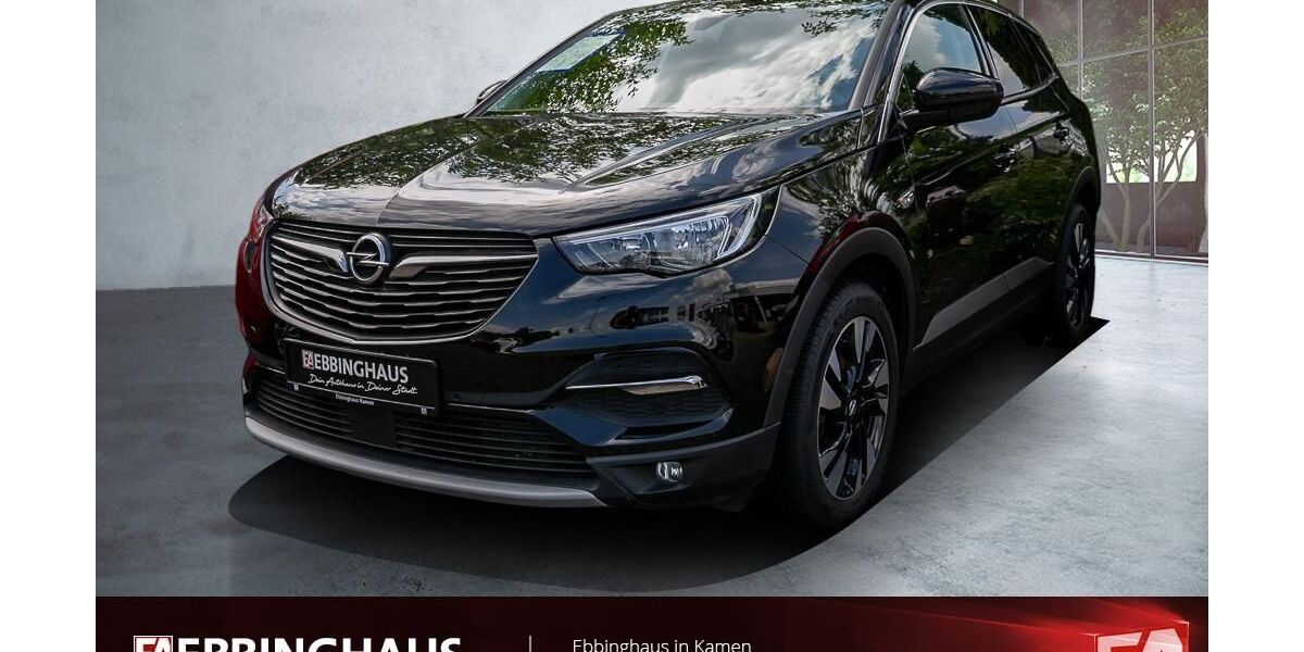 Opel Grandland (X) 108.645 km 13.499 &euro; Kamen 59174