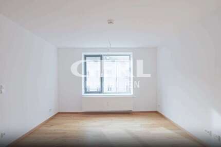 Wohnung Straubing - 1 Zimmer, 36 m&sup2;, 450&euro; | Angebot:26451417