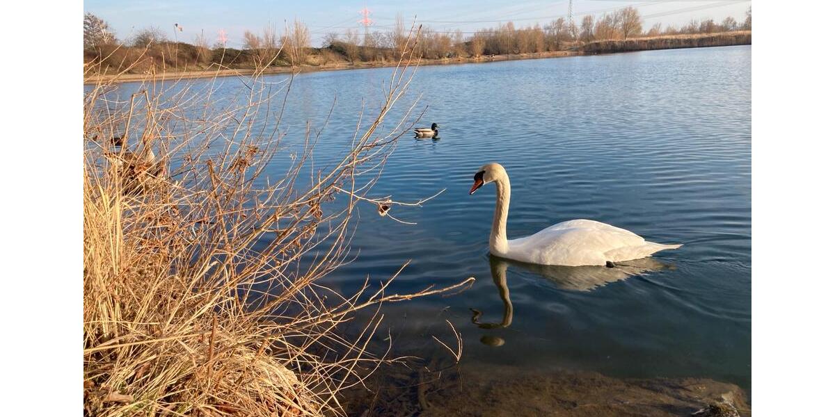 Einfamilienhaus Dresden Leuben - 8 Zimmer, 150 m&sup2;, 520.000&euro; | Angebot:25514446