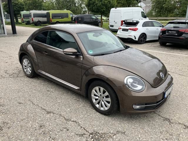 Beetle
