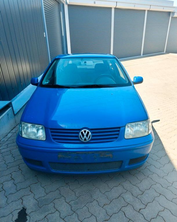 Polo