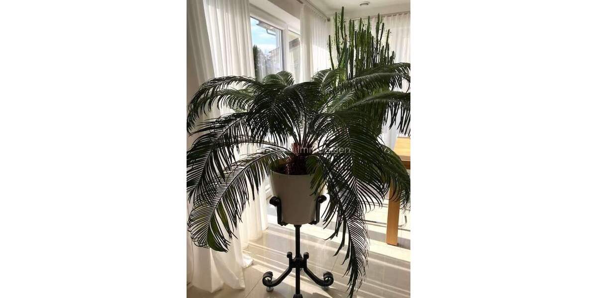 Einfamilienhaus Barbing - 5 Zimmer, 151 m&sup2;, 859.000&euro; | Angebot:25768244