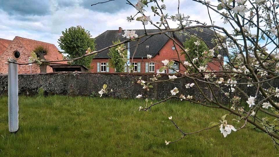 Bauernhaus, Landhaus Prenzlau - 5 Zimmer, 169 m&sup2;, 165.000&euro; | Angebot:26705682