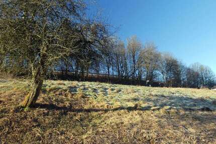 Grundstück zu verkaufen in Weselberg 75.000 € 680 m² zimmer