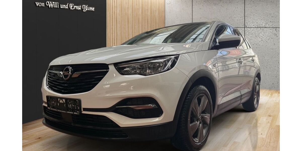 Opel Grandland (X) 73.845 km 19.890 &euro; Bad Lauterberg 37431