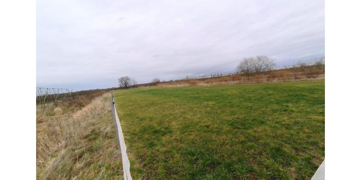 Gewerbeobjekt Jork - 420&euro; | Angebot:24317670