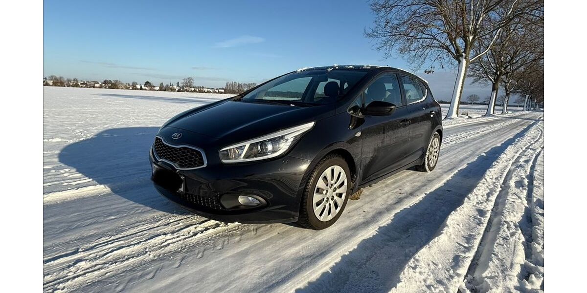 Kia ceed / Ceed 124.999 km 7.099 &euro; Peine 31224